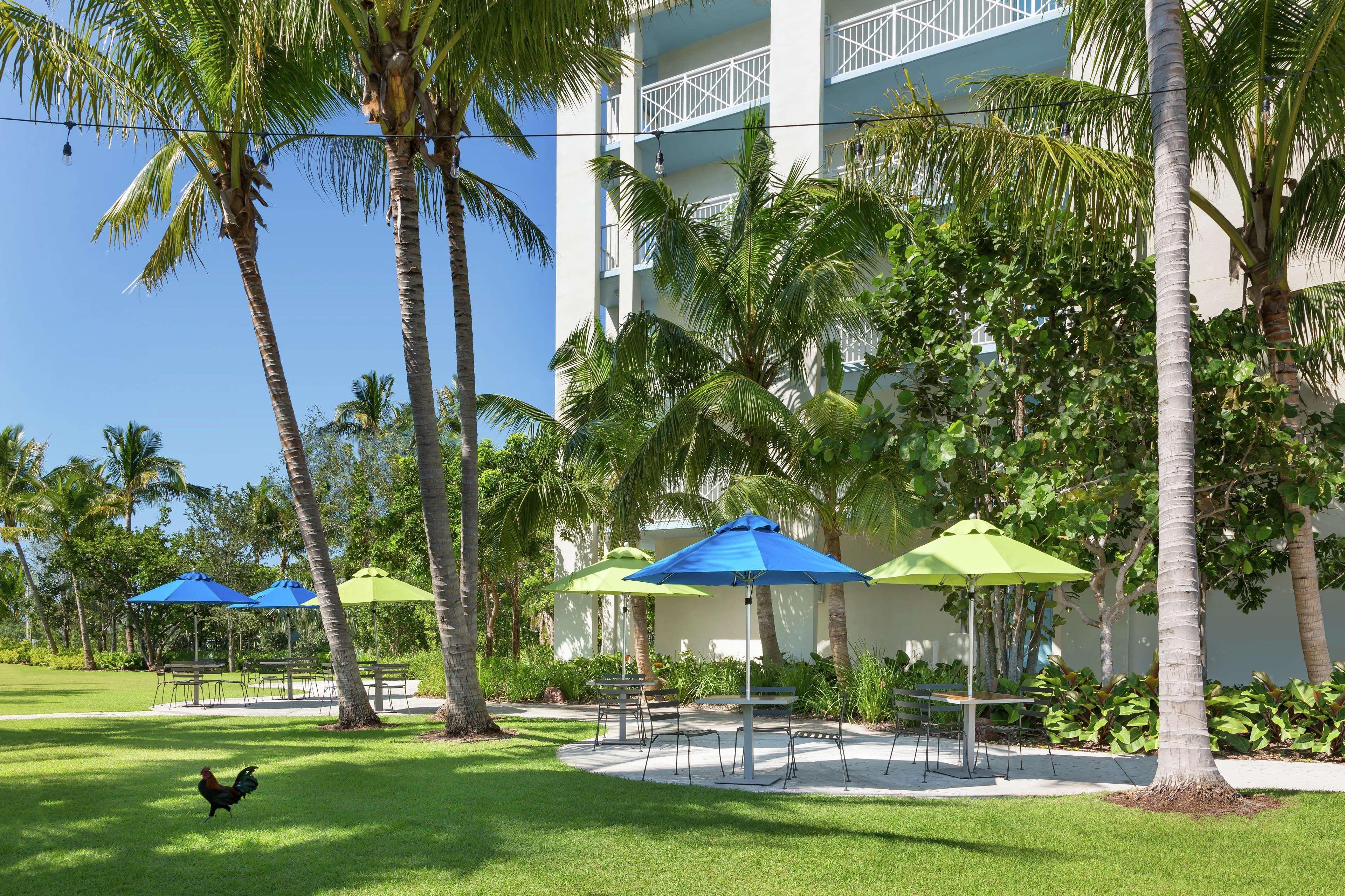 Hilton Garden Inn Key West / The Keys Collection Extérieur photo